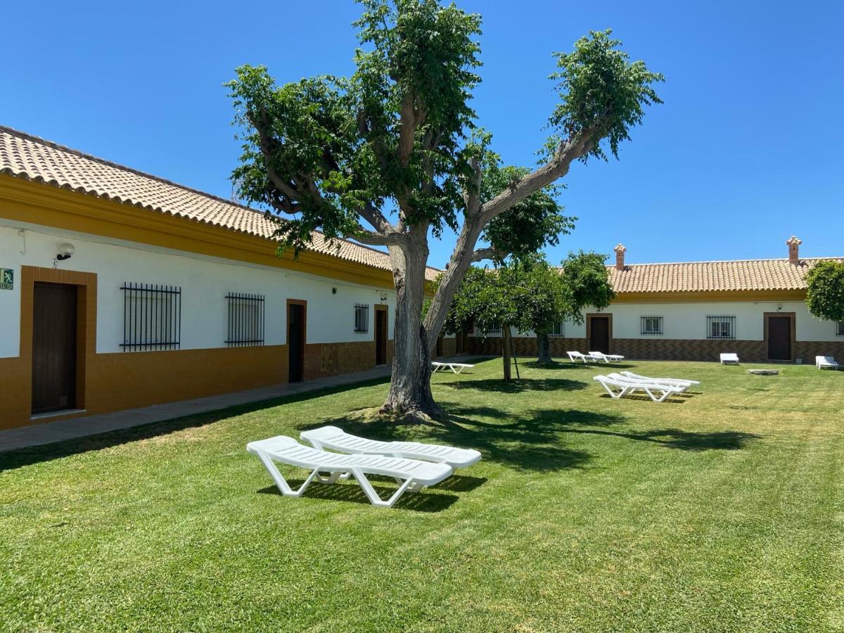 Mellizos 5*
